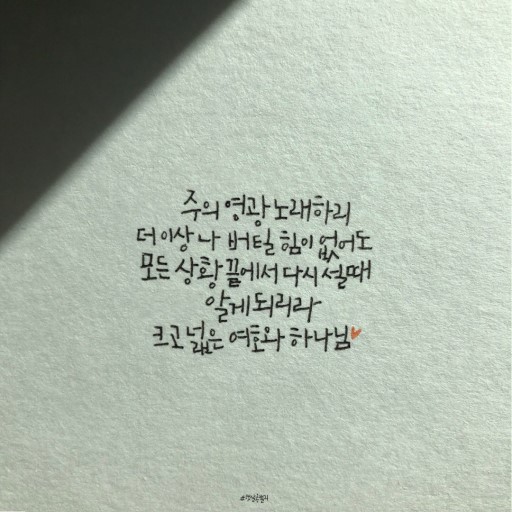 위가네 이미지