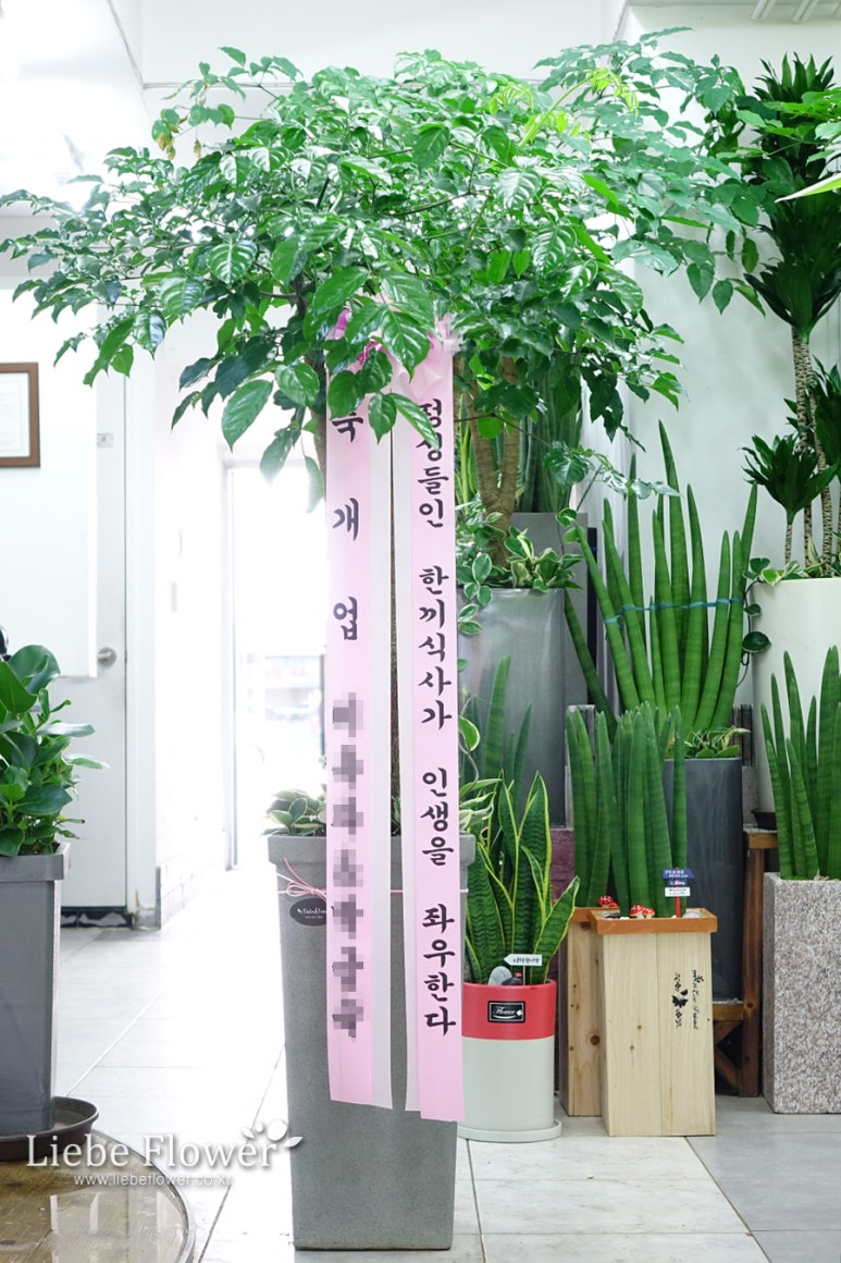 날꾸버잡수 이미지