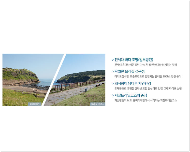 아이비컬리지에잇스쿨 이미지