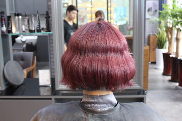 미엘헤어 이미지