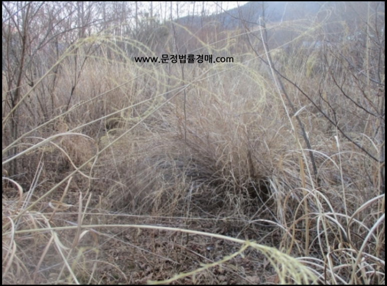 재포주유소 이미지