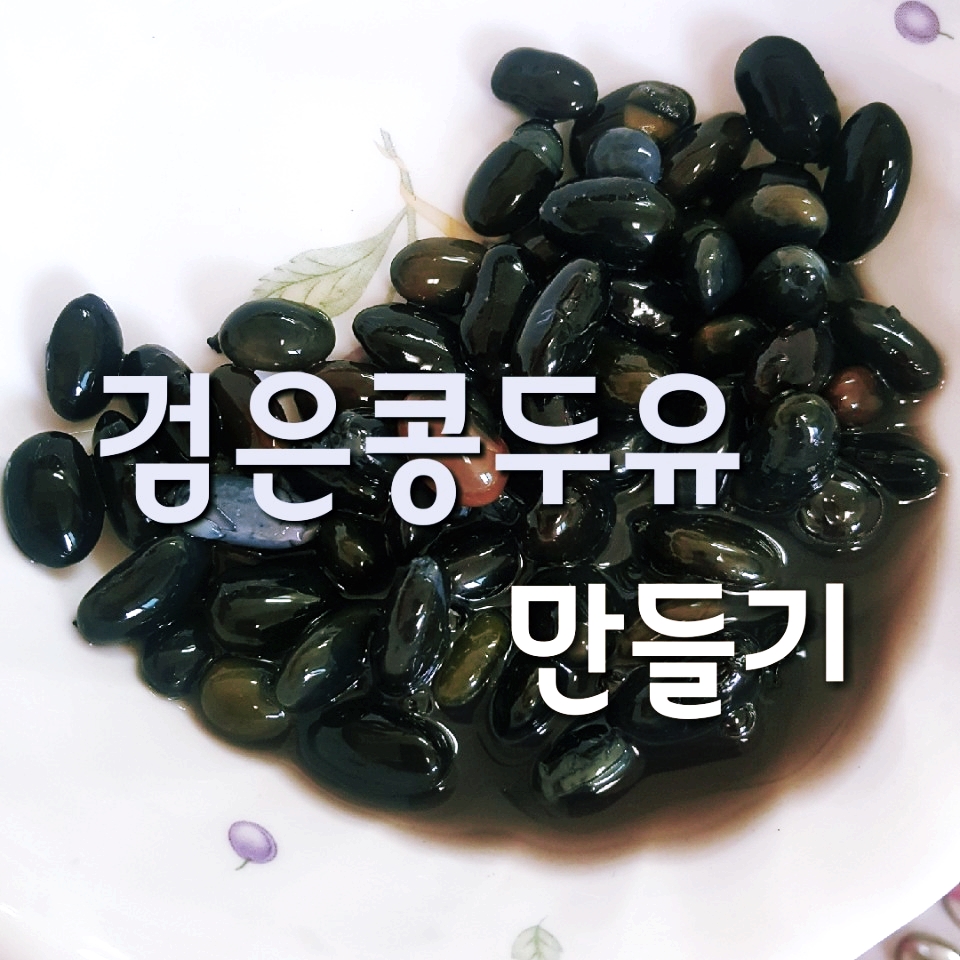 물콩이네 이미지