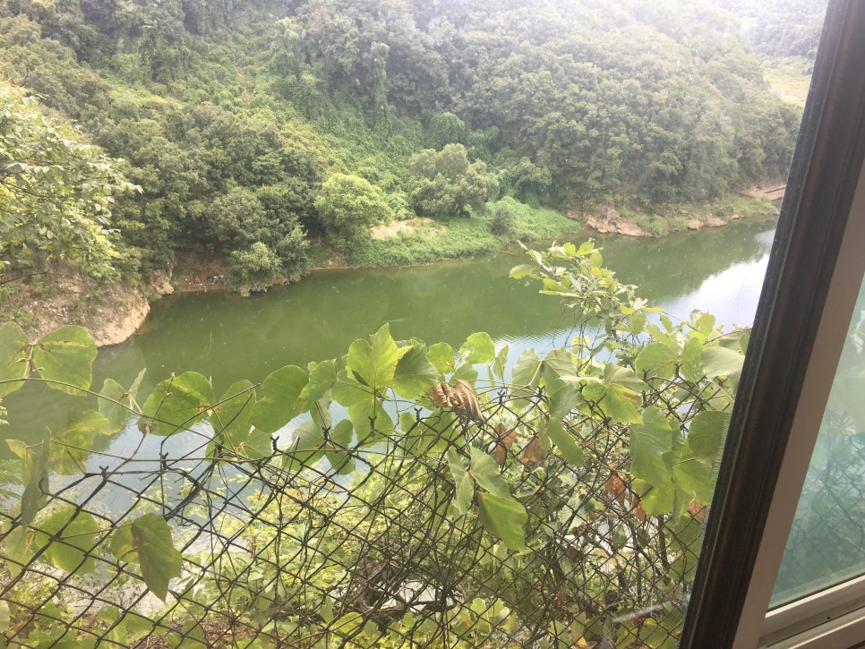 연천강 매운탕 이미지