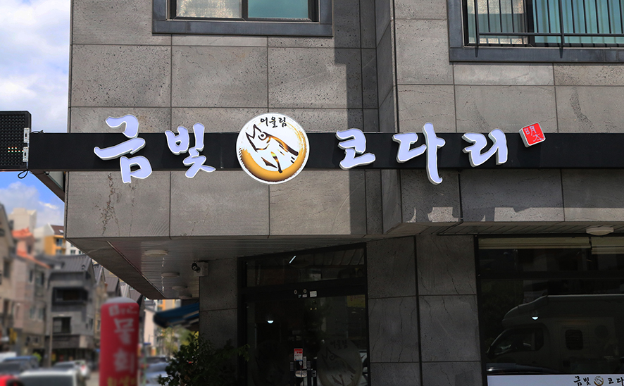 금빛코다리 이미지