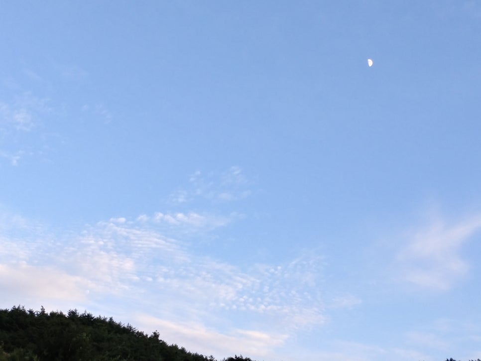 빵구름 이미지