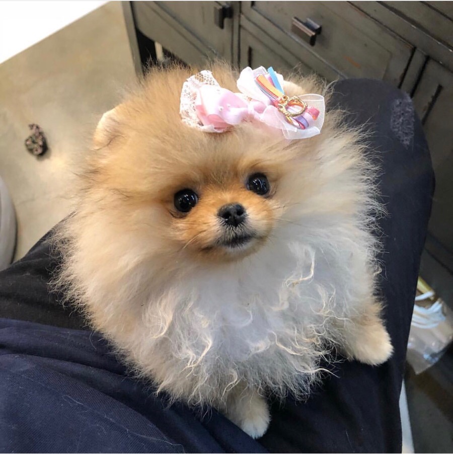 쭈쭈바 이미지