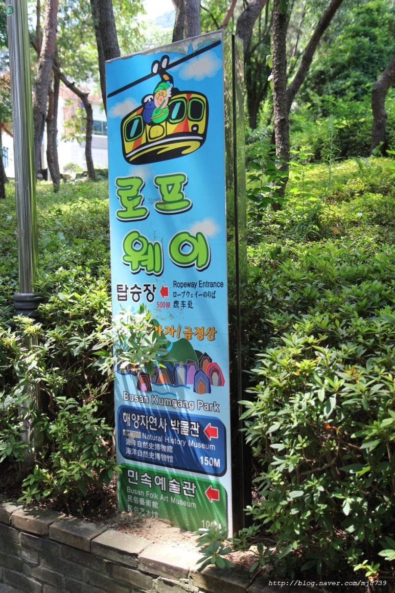 금강카 이미지