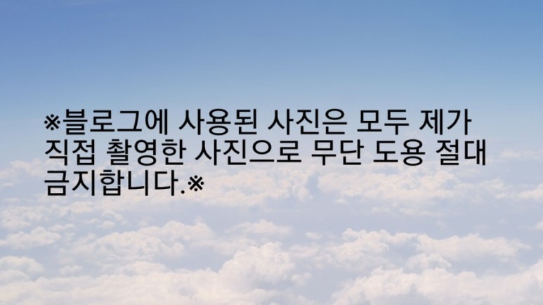 시트린펜션 이미지
