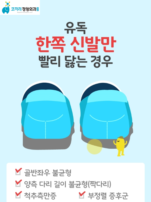 신발짱 이미지