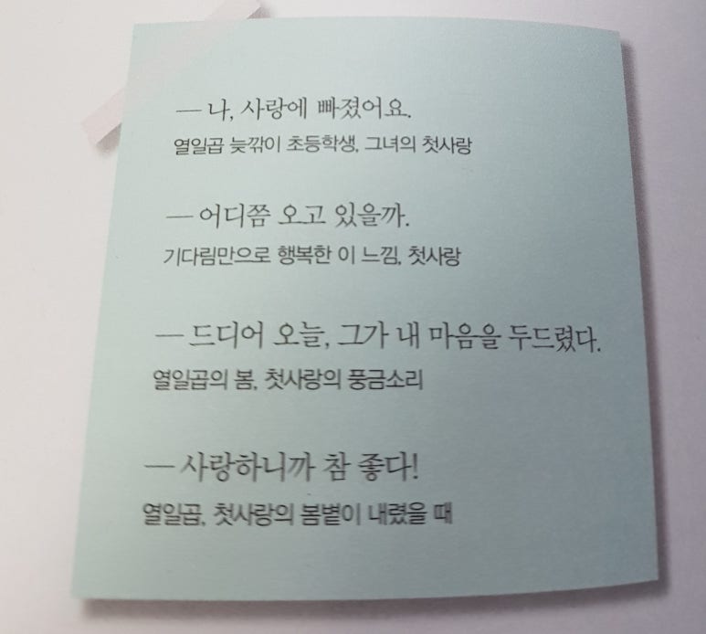 카피댓 이미지