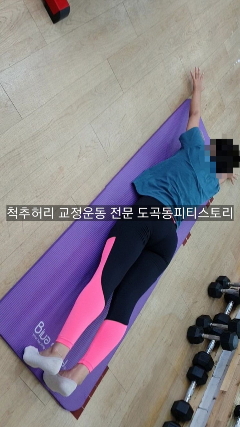 피티스토리 이미지
