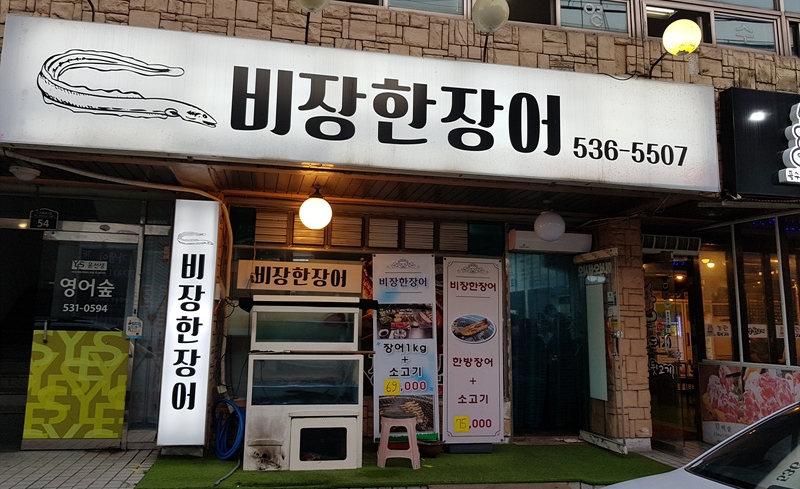 비장한장어 이미지
