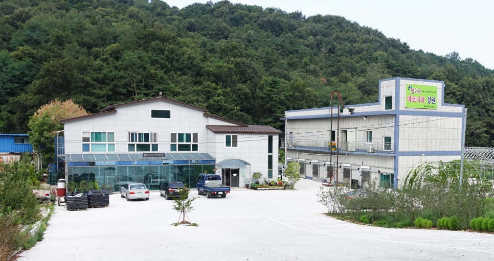 아로니아정원 이미지