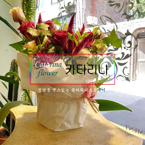 카타리나플라워 이미지