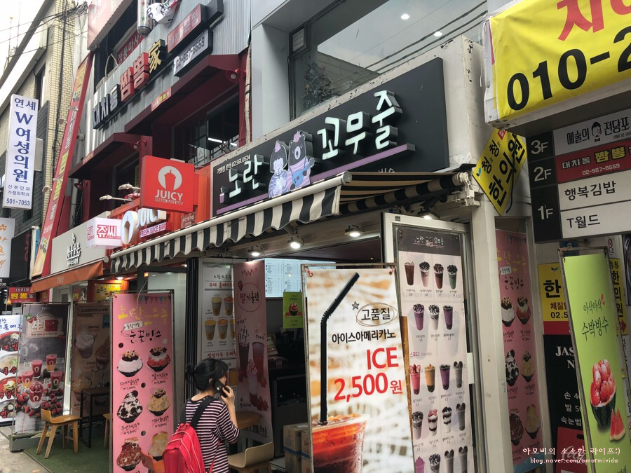 노란꼬무줄 이미지