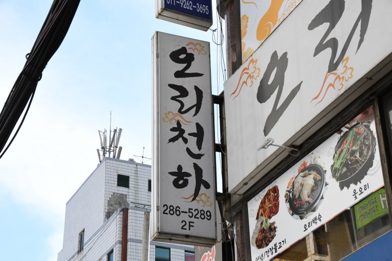 오리천하 이미지