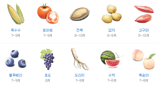 삼촌네야채청과 이미지
