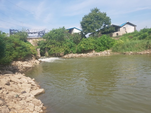 리미티드피시 이미지