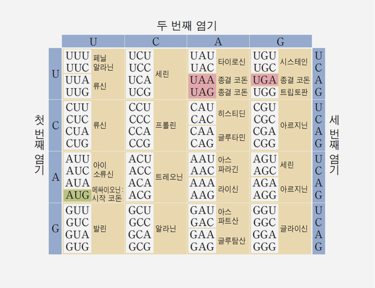 유전시스템 이미지