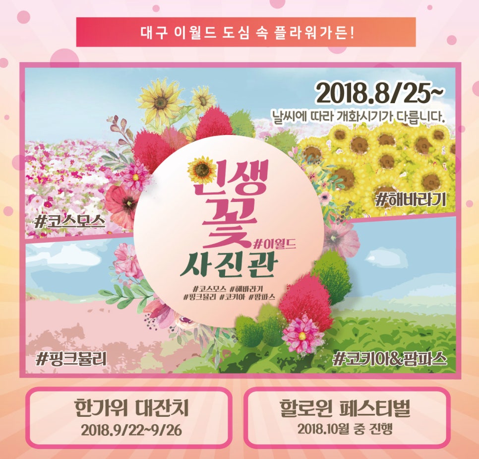 인생한장사진관 이미지