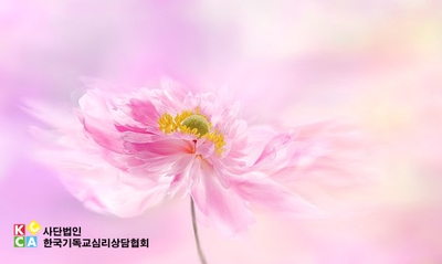 사단법인 한국아동미술협회 이미지