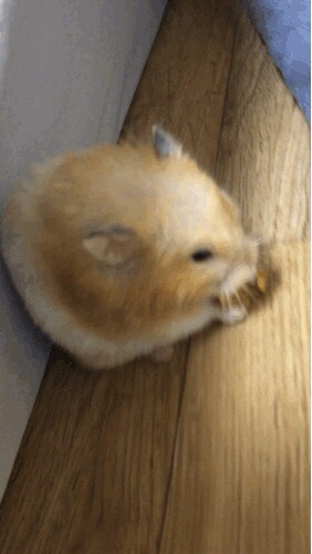 찍 이미지