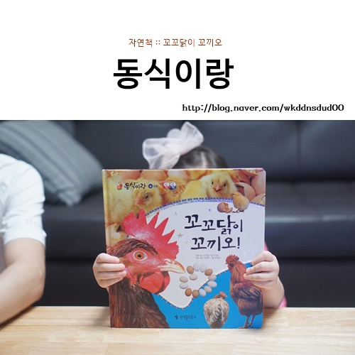자연책사랑 이미지