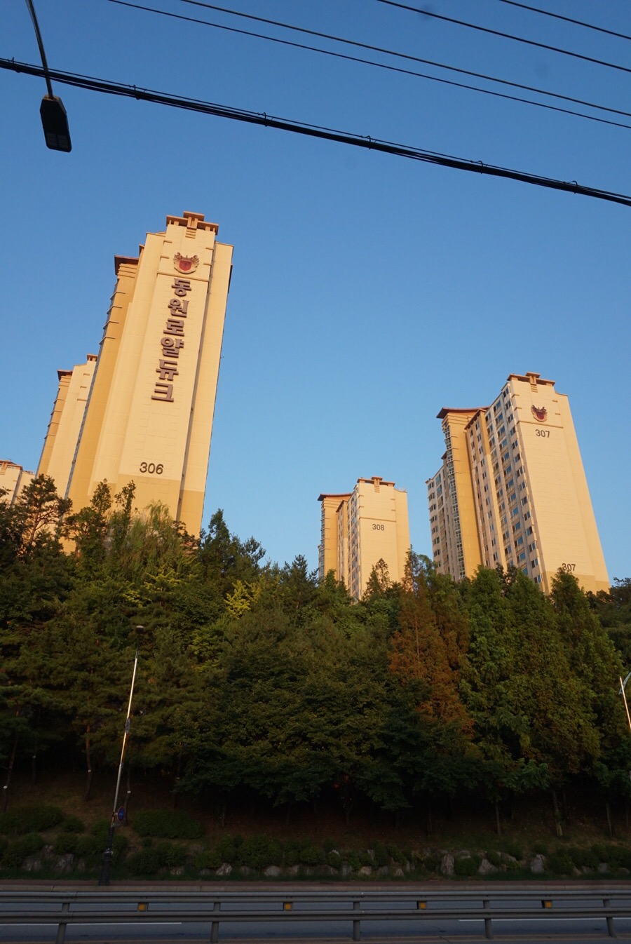 치앤차이 이미지