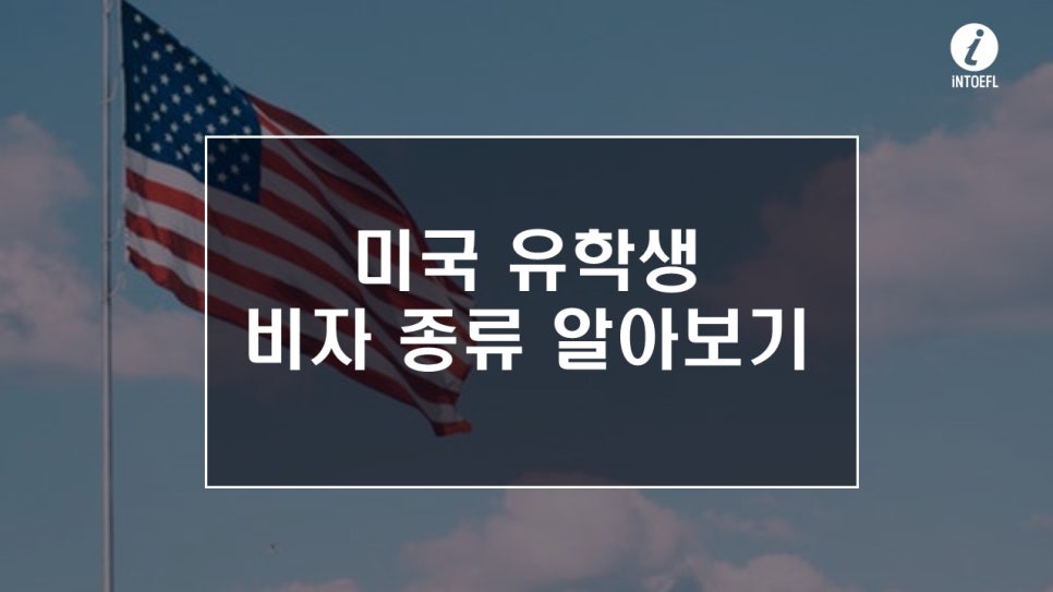 비자노아 이미지