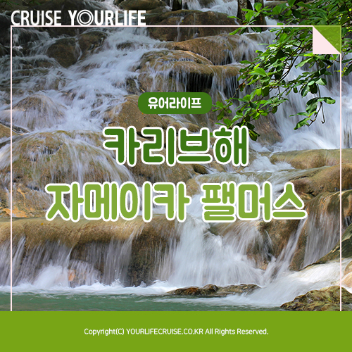 대노라이프 이미지