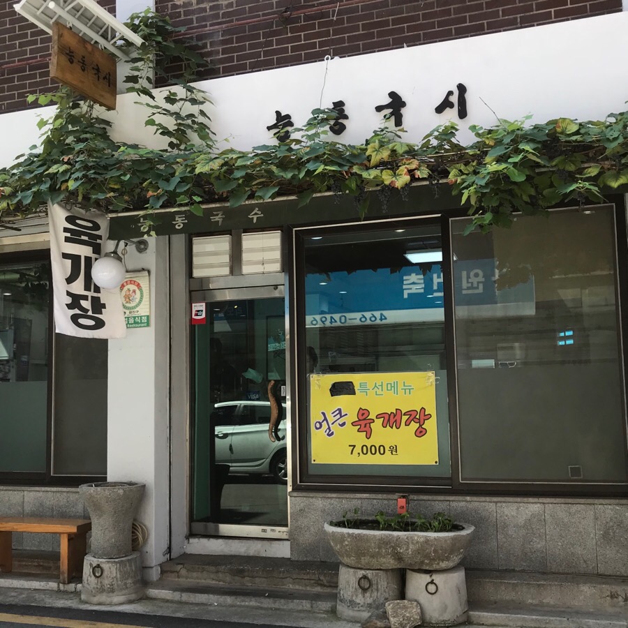 능동국시 이미지