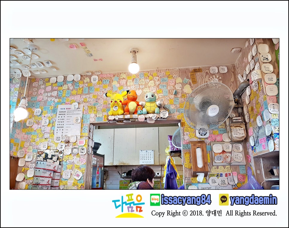 대포항미녀네 이미지