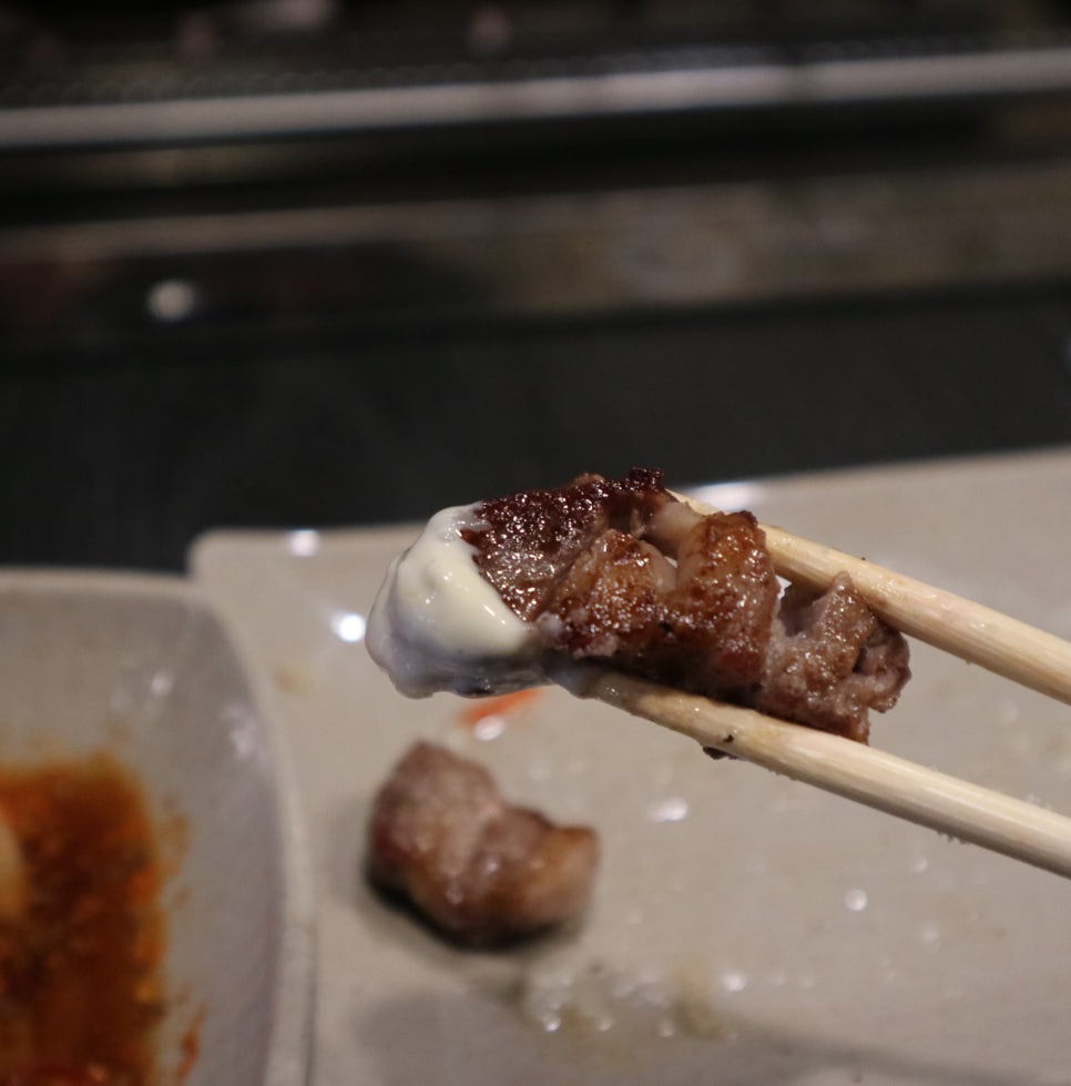 한반도양꼬치 이미지