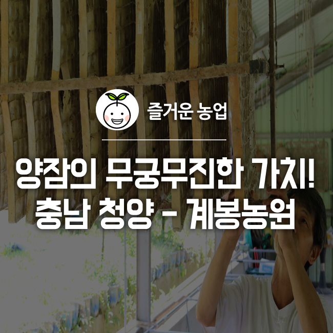 계봉농원 이미지