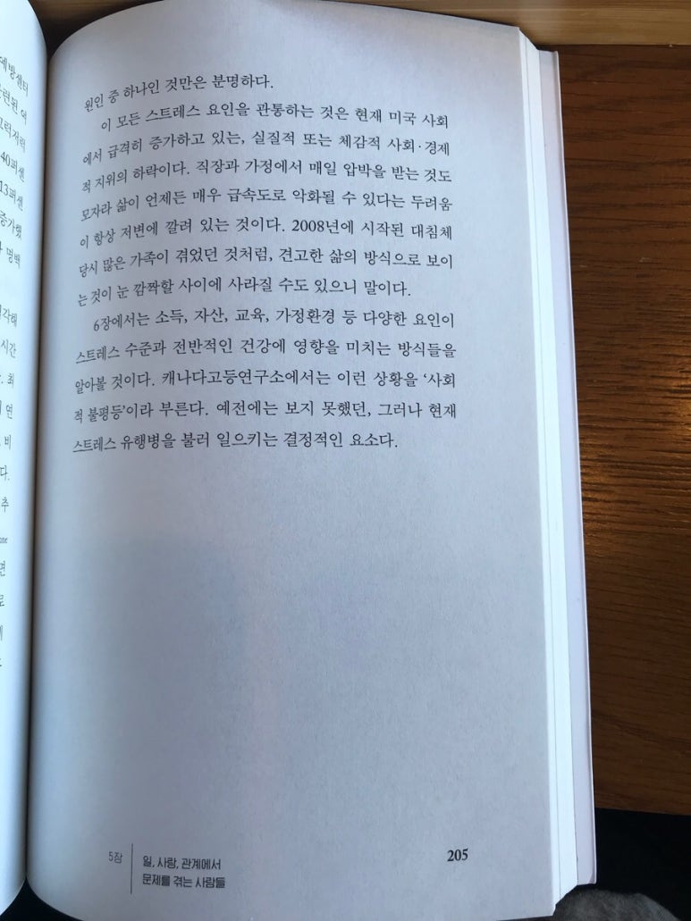 카페이소 이미지