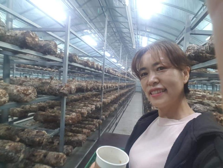하나캐터링 이미지