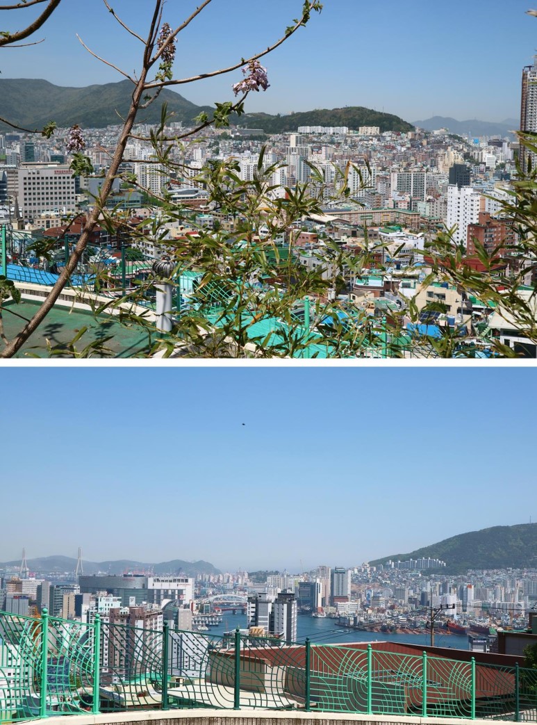 초장중학교 이미지