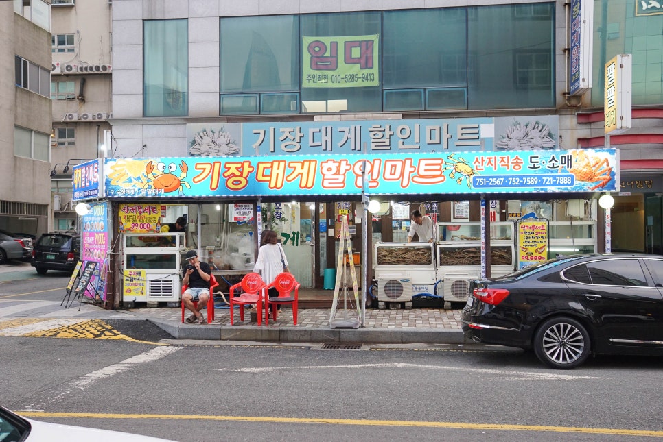 대게조아 이미지