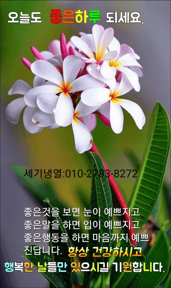 세기냉열 이미지