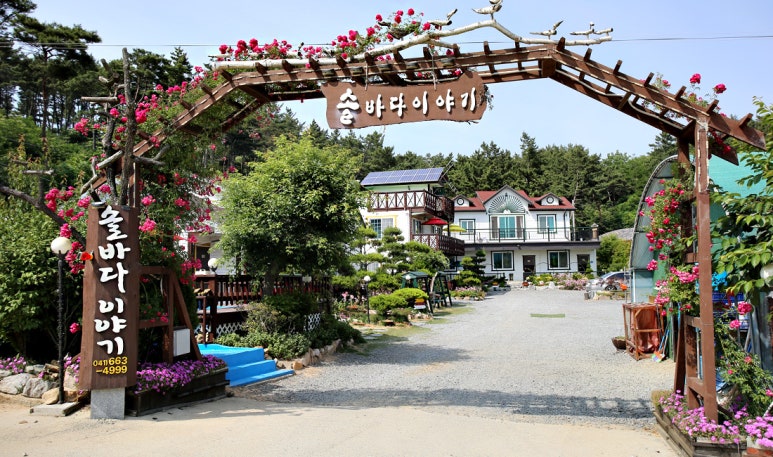 솔바다이야기 이미지