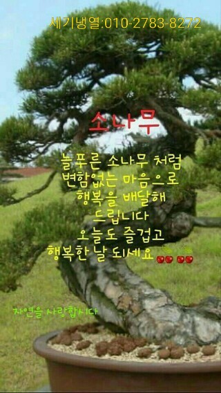 세기냉열 이미지