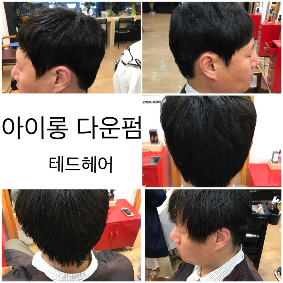 테드헤어 이미지