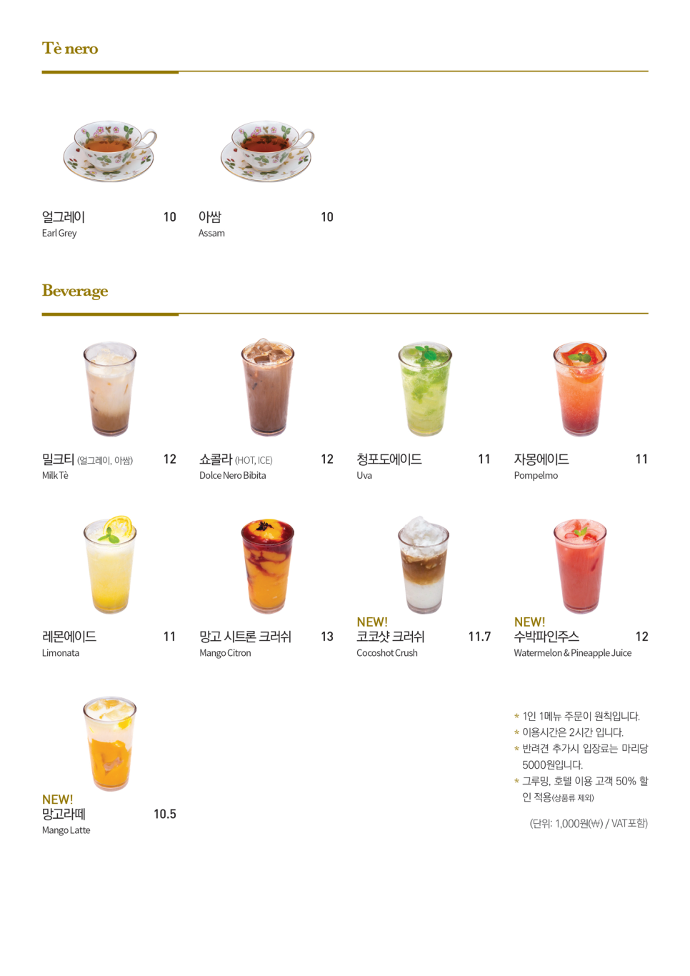 비안코 포레스트 이미지