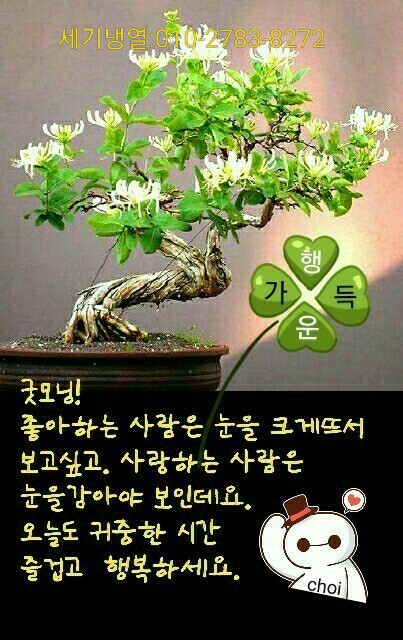 세기냉열 이미지