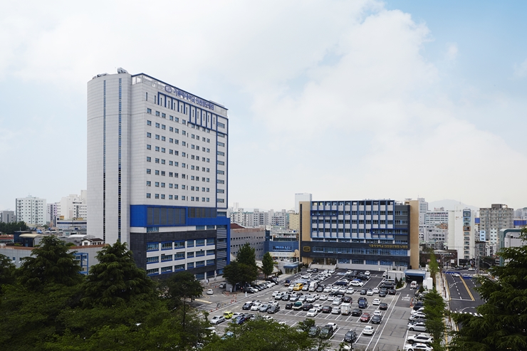 성모상회 이미지