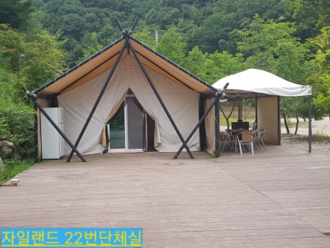 자일랜드 이미지