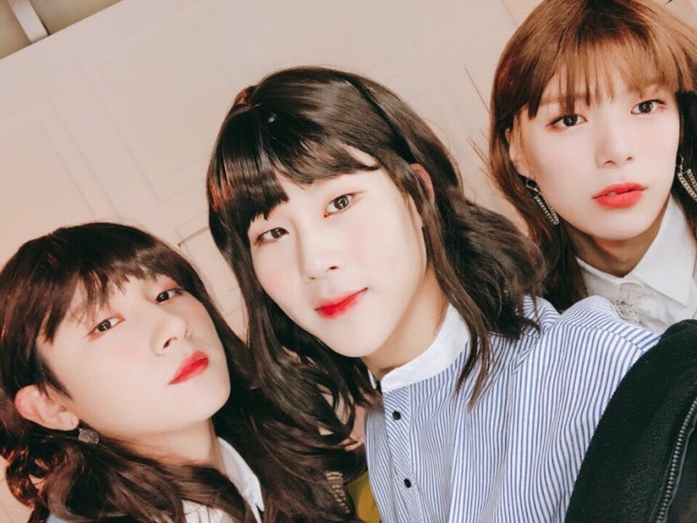 아이엠슈가 이미지