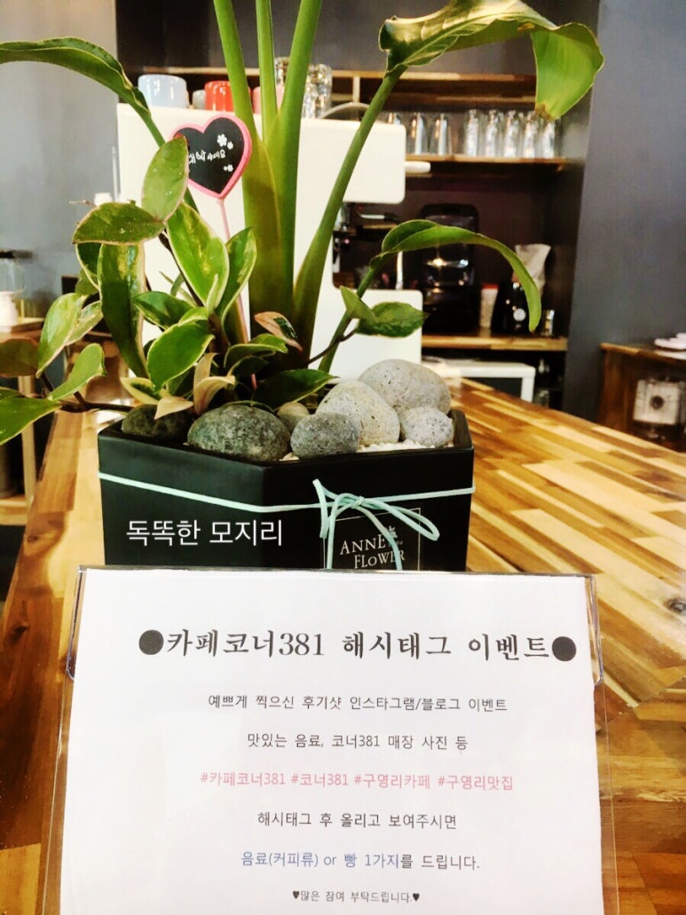 코너381 이미지