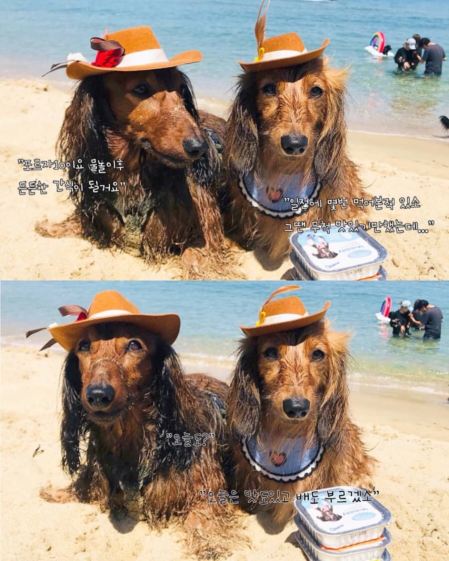 초이컴 이미지