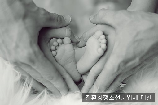 인생닭꼬치 이미지